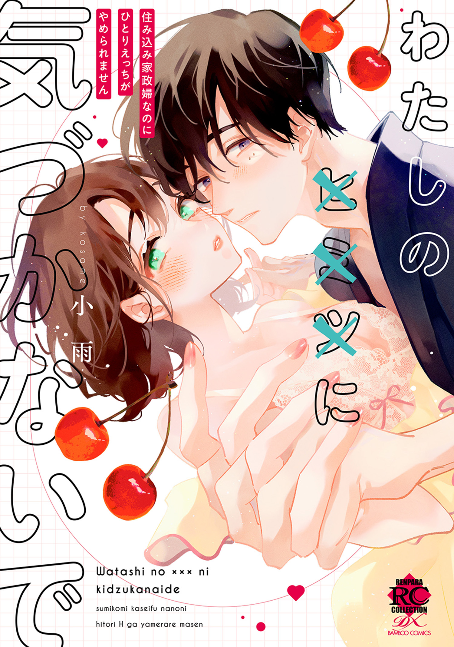 わたしの×××に気づかないで 住み込み家政婦なのにひとりえっちがやめられません