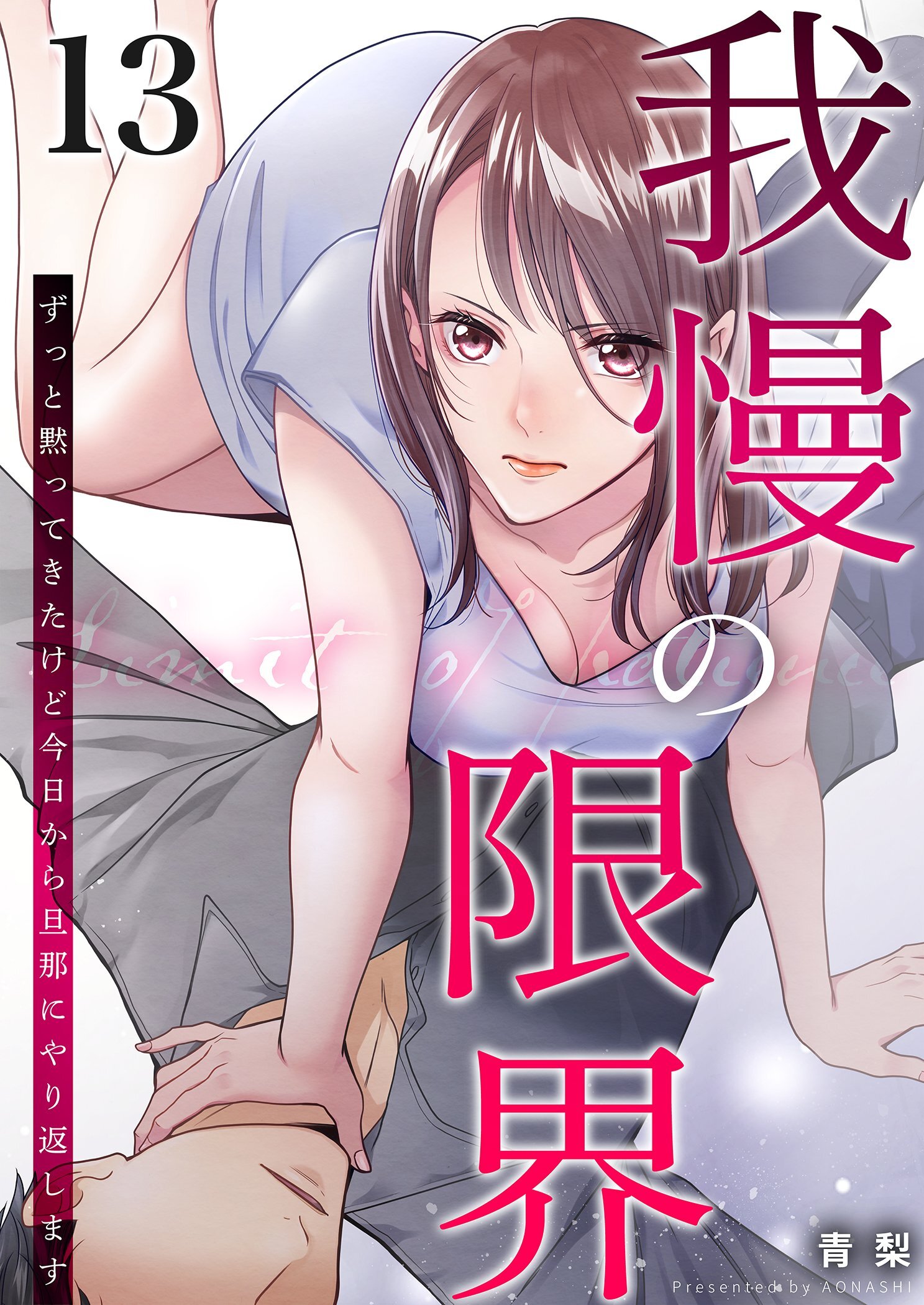 我慢の限界～ずっと黙ってきたけど今日から旦那にやり返します～ 13
