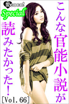 こんな官能小説が読みたかった!vol.66