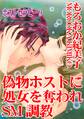 ホストセラピー9 偽者ホストに処女を奪われSM調教