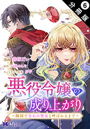 悪役令嬢の成り上がり～隣国で宝石の聖女と呼ばれるまで～(コミック) 分冊版 ： 6
