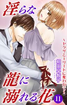 淫らな龍に溺れる花~ヤクザとエリートに奪われて~11