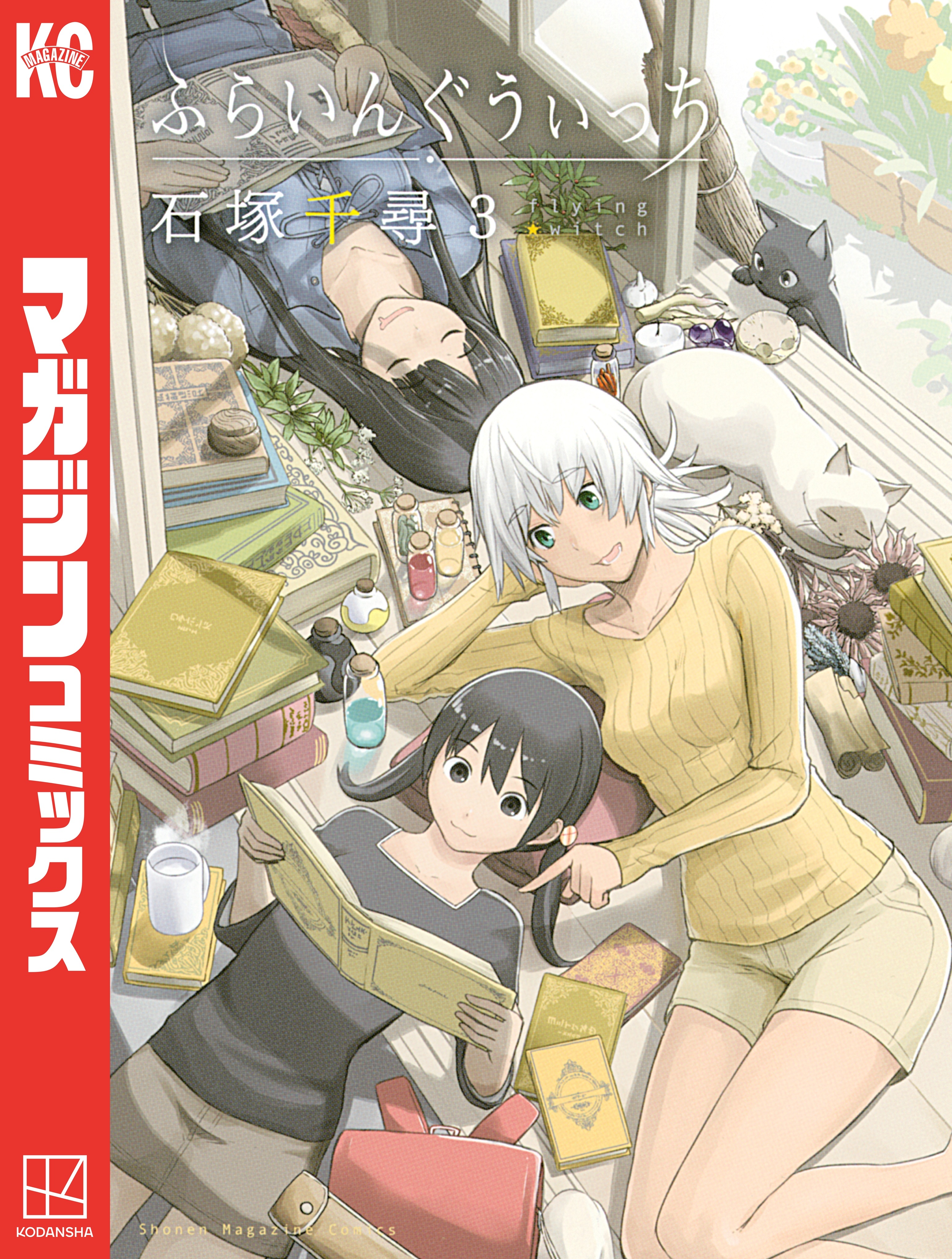 【期間限定　無料お試し版　閲覧期限2026年9月4日】ふらいんぐうぃっち（３）