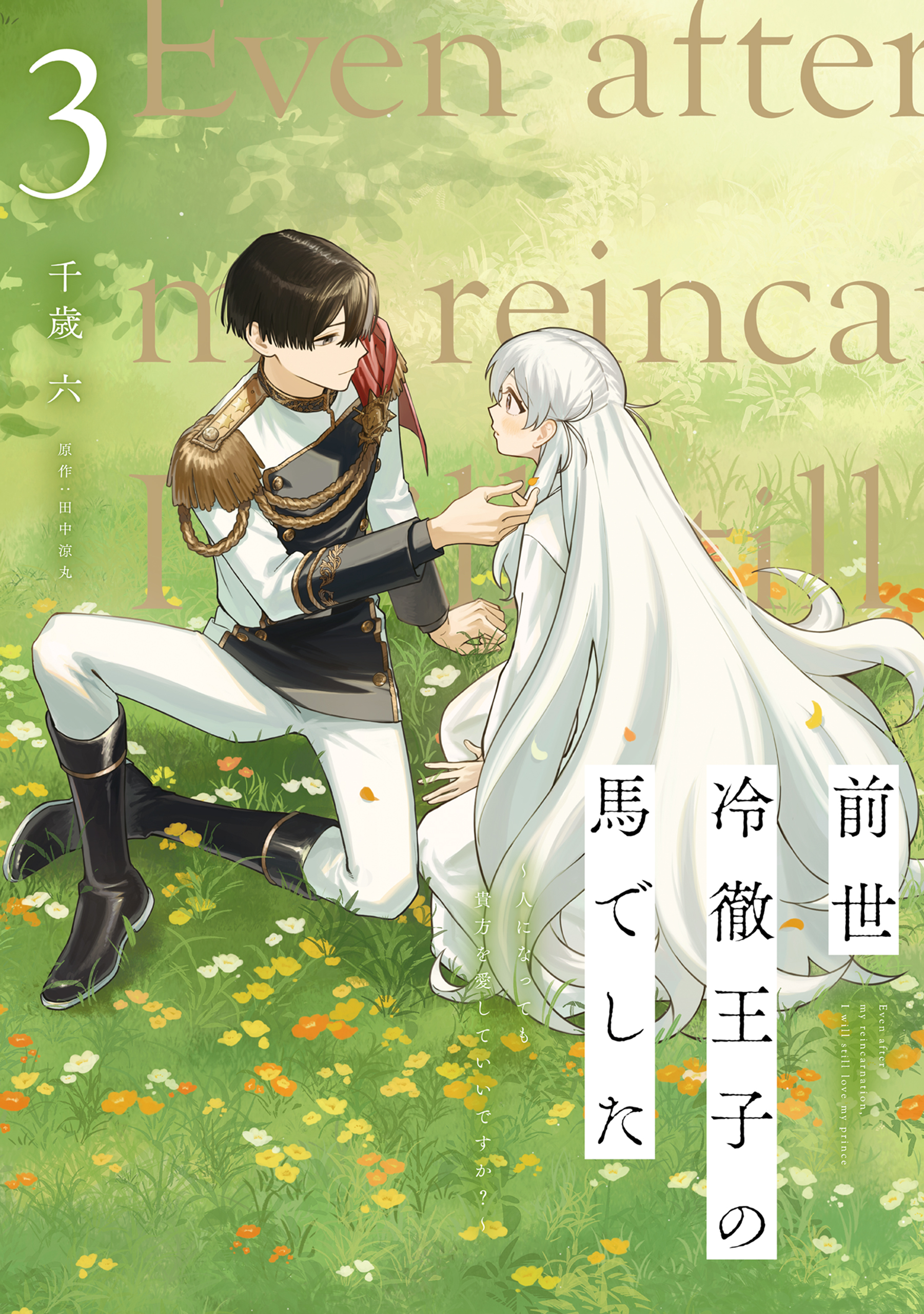 前世冷徹王子の馬でした ～人になっても貴方を愛していいですか？～ 3