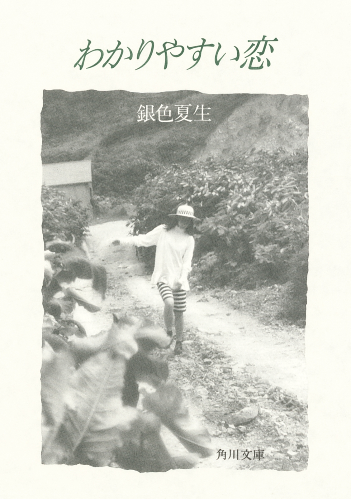 【写真詩集】わかりやすい恋