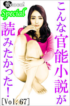 こんな官能小説が読みたかった!vol.67