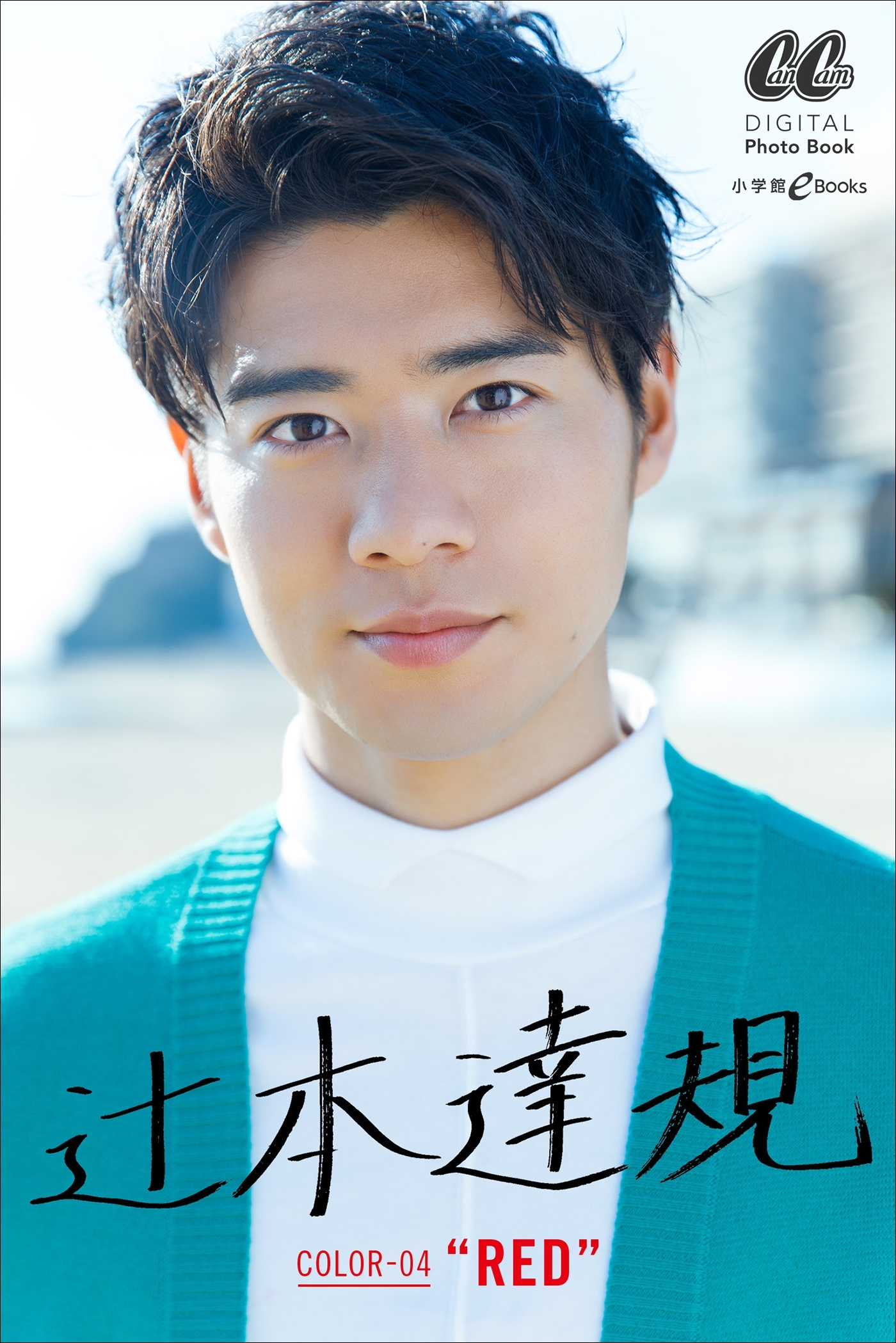 辻本 達規　COLOR-04　“RED”