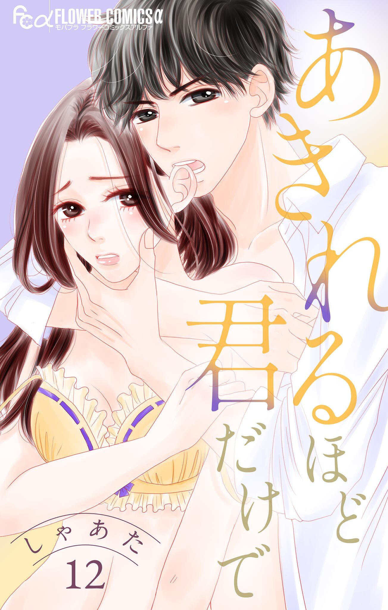 あきれるほど君だけで【マイクロ】 12