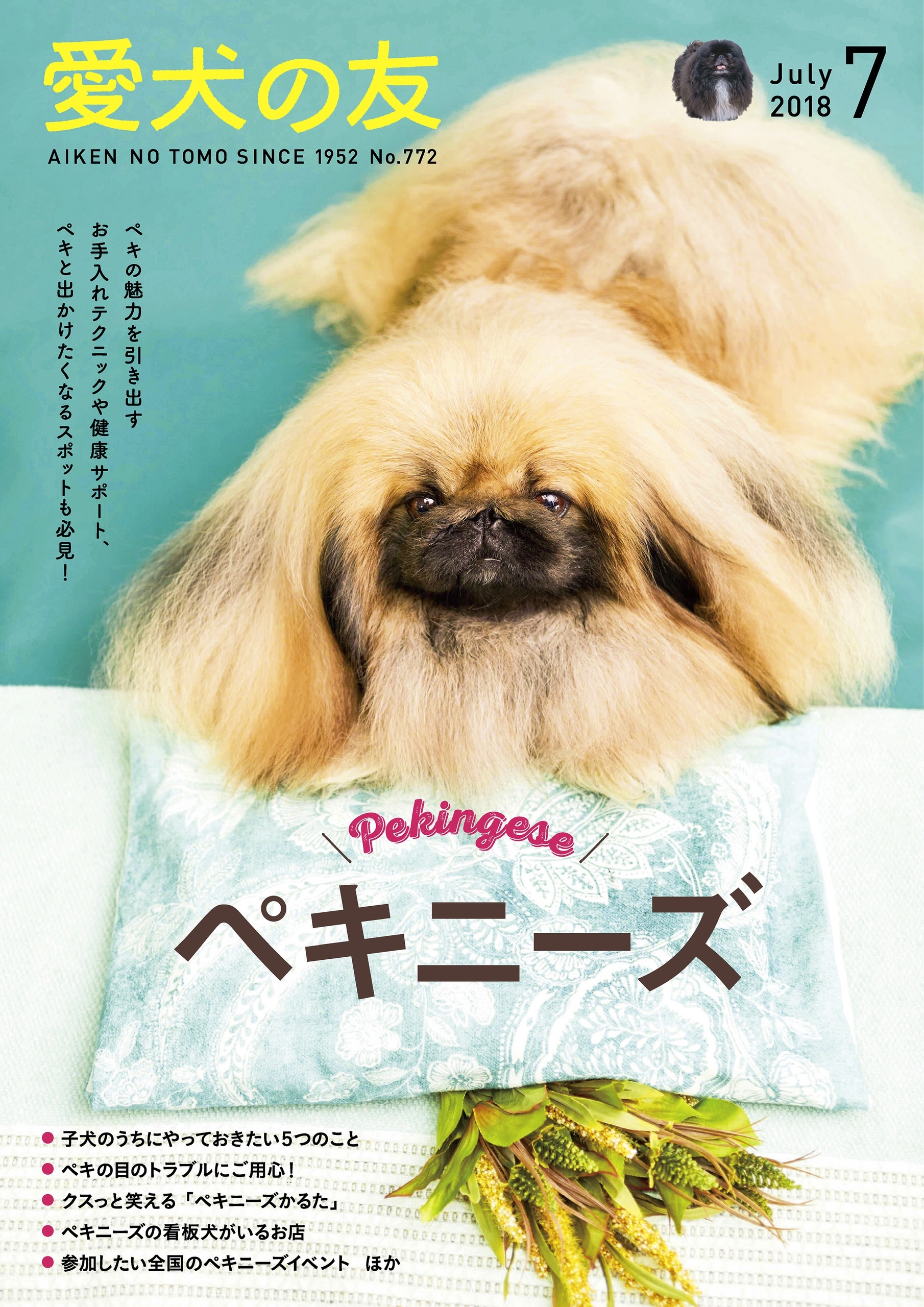 愛犬の友2018年7月号