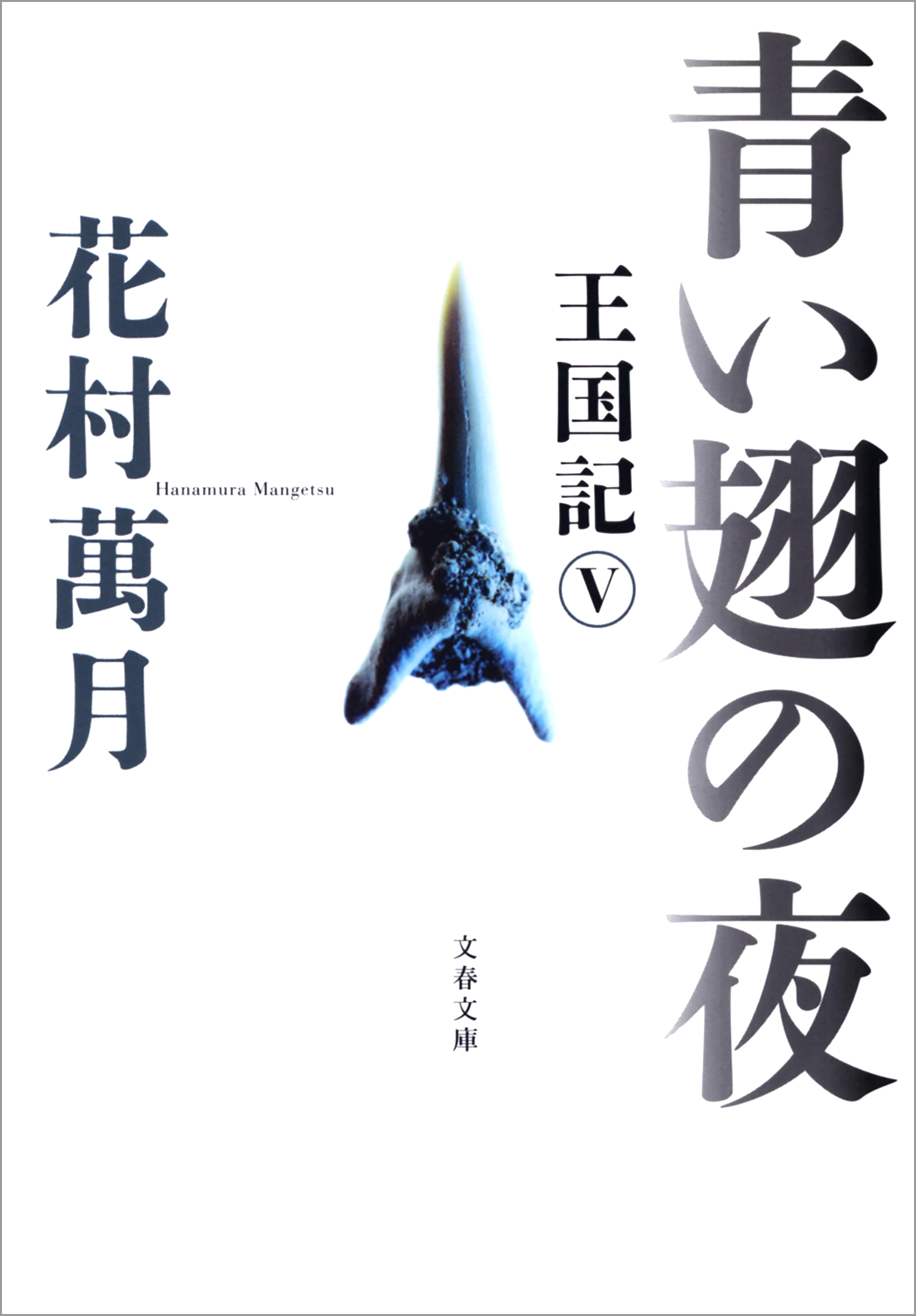 青い翅の夜　王国記 V