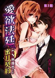 愛欲法廷～ドS弁護士との蜜月契約～ 3