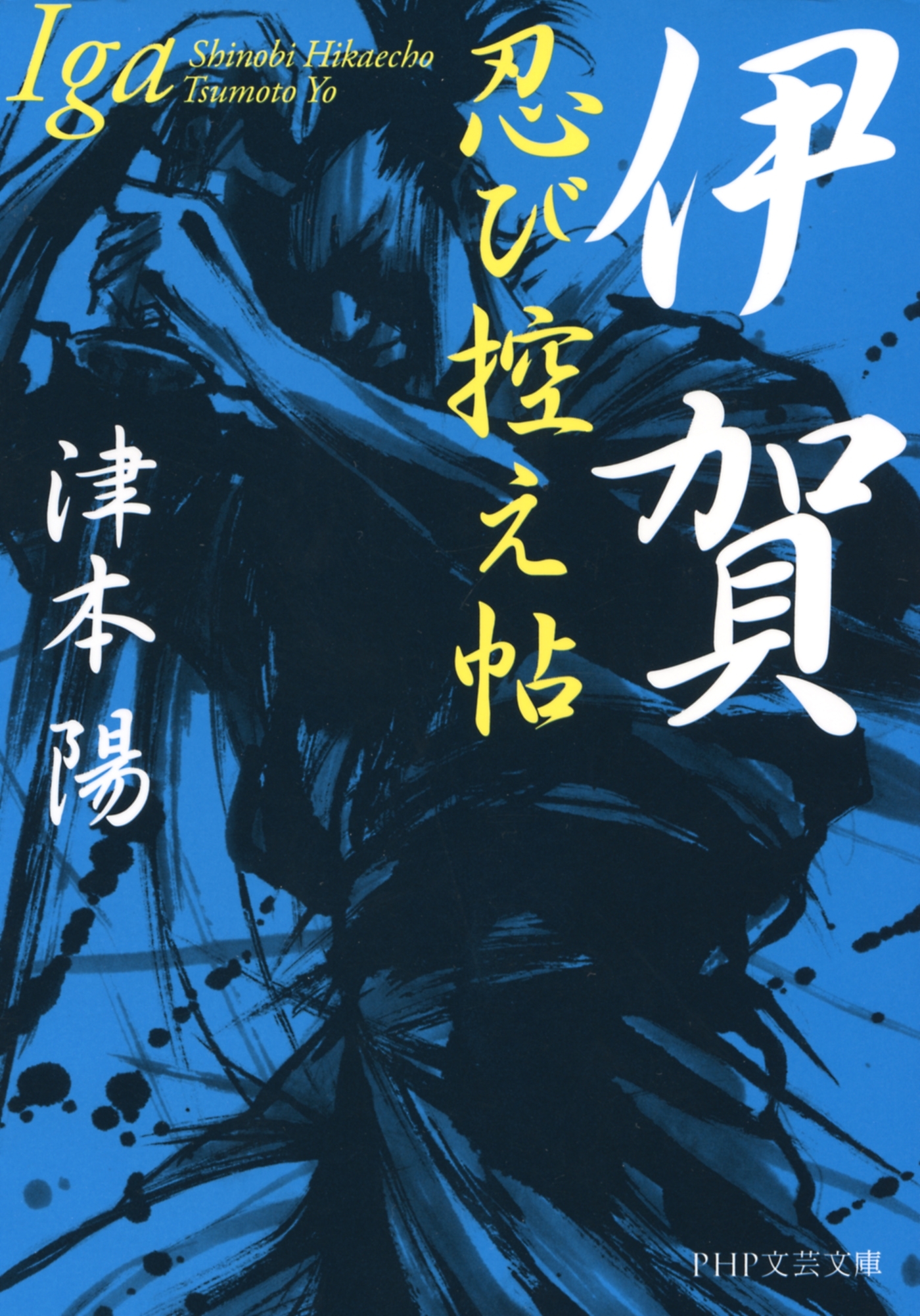 伊賀忍び控え帖