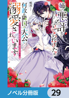 姉に悪評を立てられましたが、何故か隣国の大公に溺愛されています【ノベル分冊版】 29