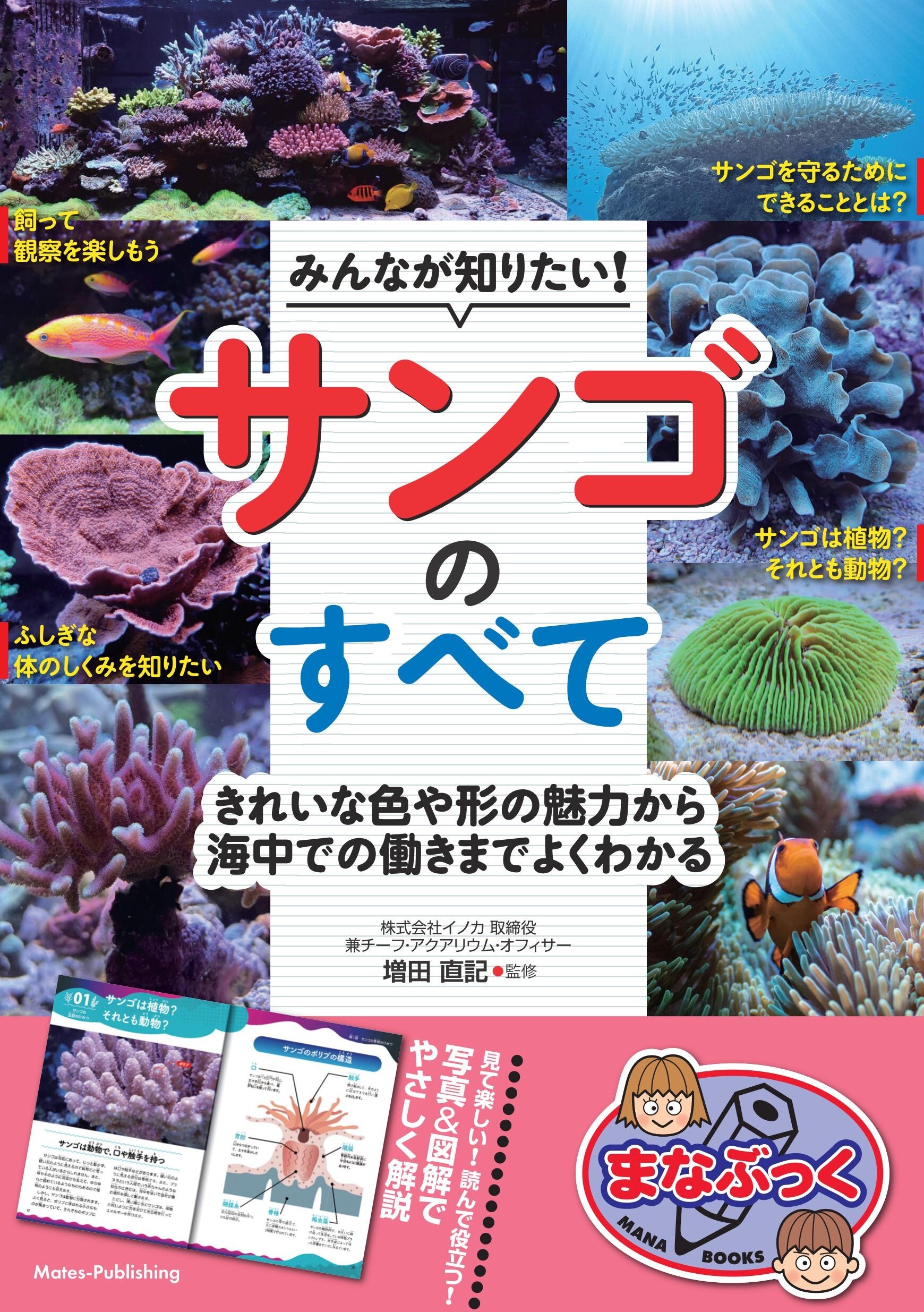 みんなが知りたい！ サンゴのすべて きれいな色や形の魅力から海中での働きまでよくわかる