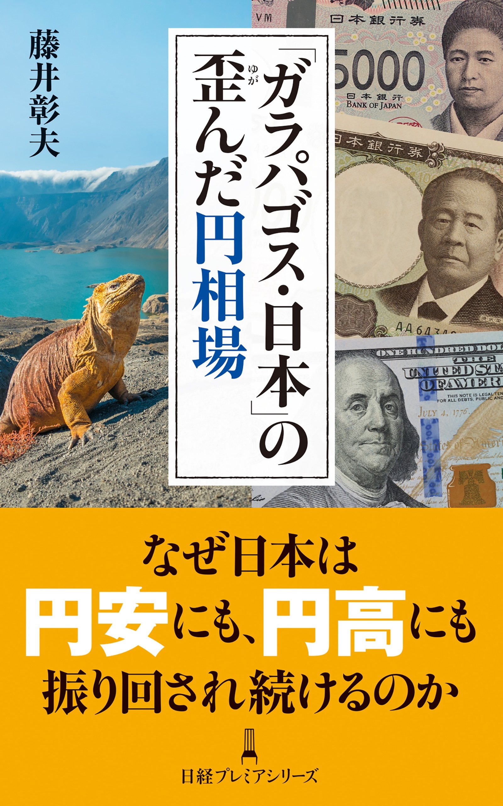 「ガラパゴス・日本」の歪んだ円相場