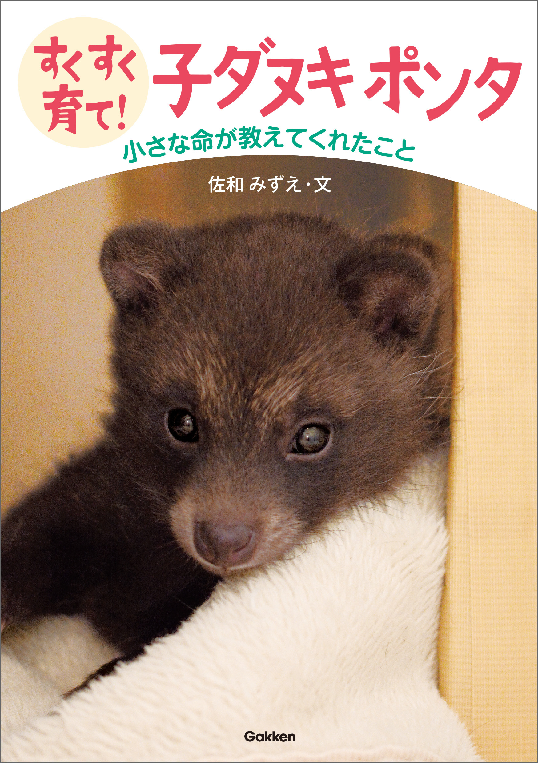 すくすく育て！ 子ダヌキ ポンタ 小さな命が教えてくれたこと