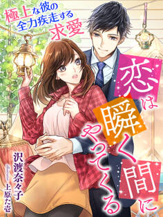 恋は瞬く間にやってくる~極上な彼の全力疾走する求愛~