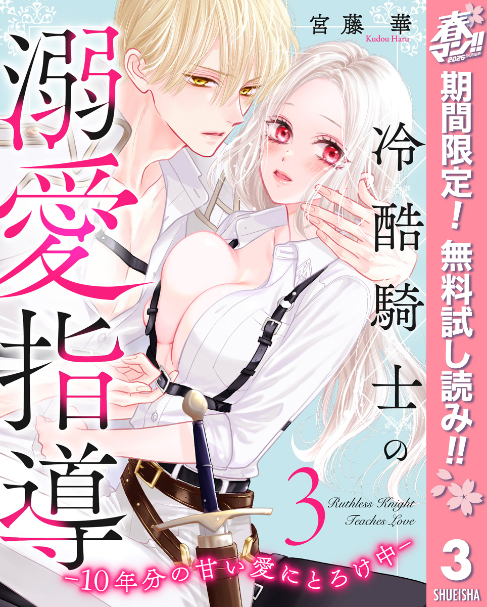 冷酷騎士の溺愛指導 -10年分の甘い愛にとろけ中-【期間限定無料】 3