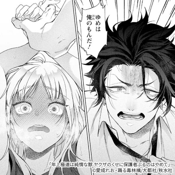 年上極道は純情な獣(1) 年上極道は純情な獣(1)