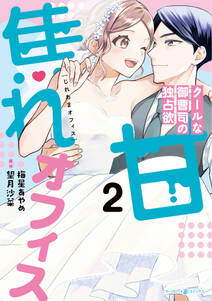 焦れ甘オフィス~クールな御曹司の独占欲~