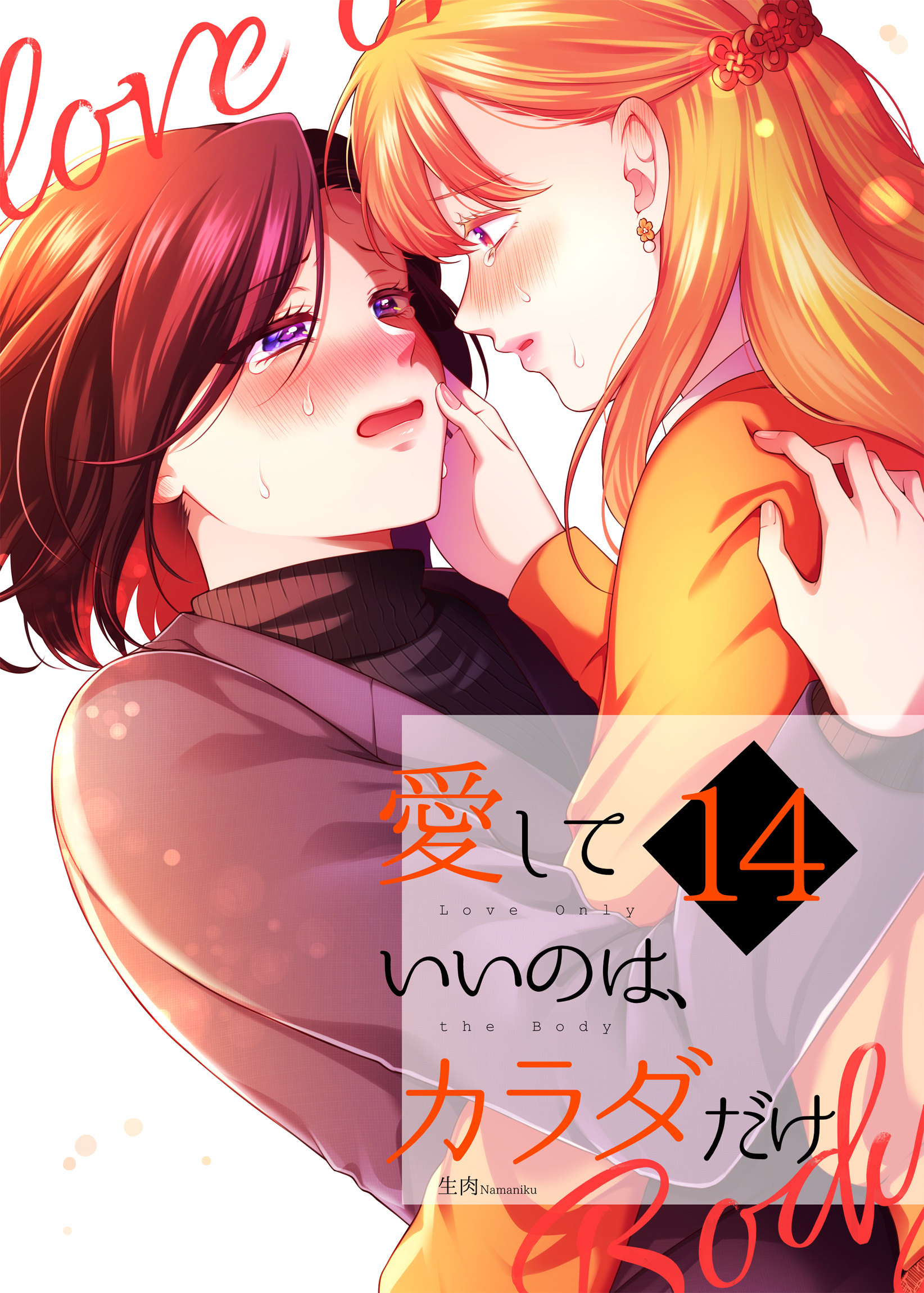愛していいのは、カラダだけ14