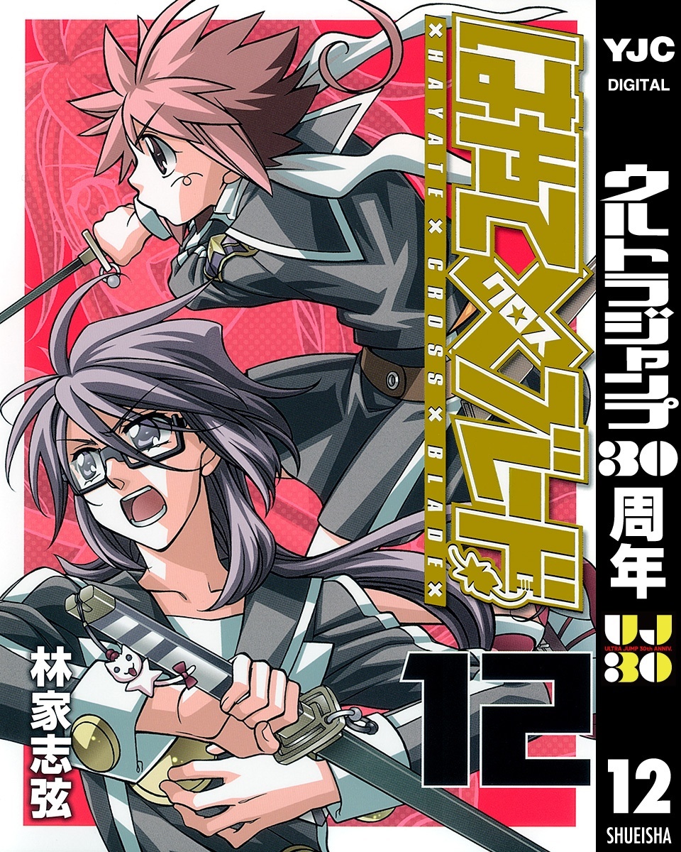 はやて×ブレード 12