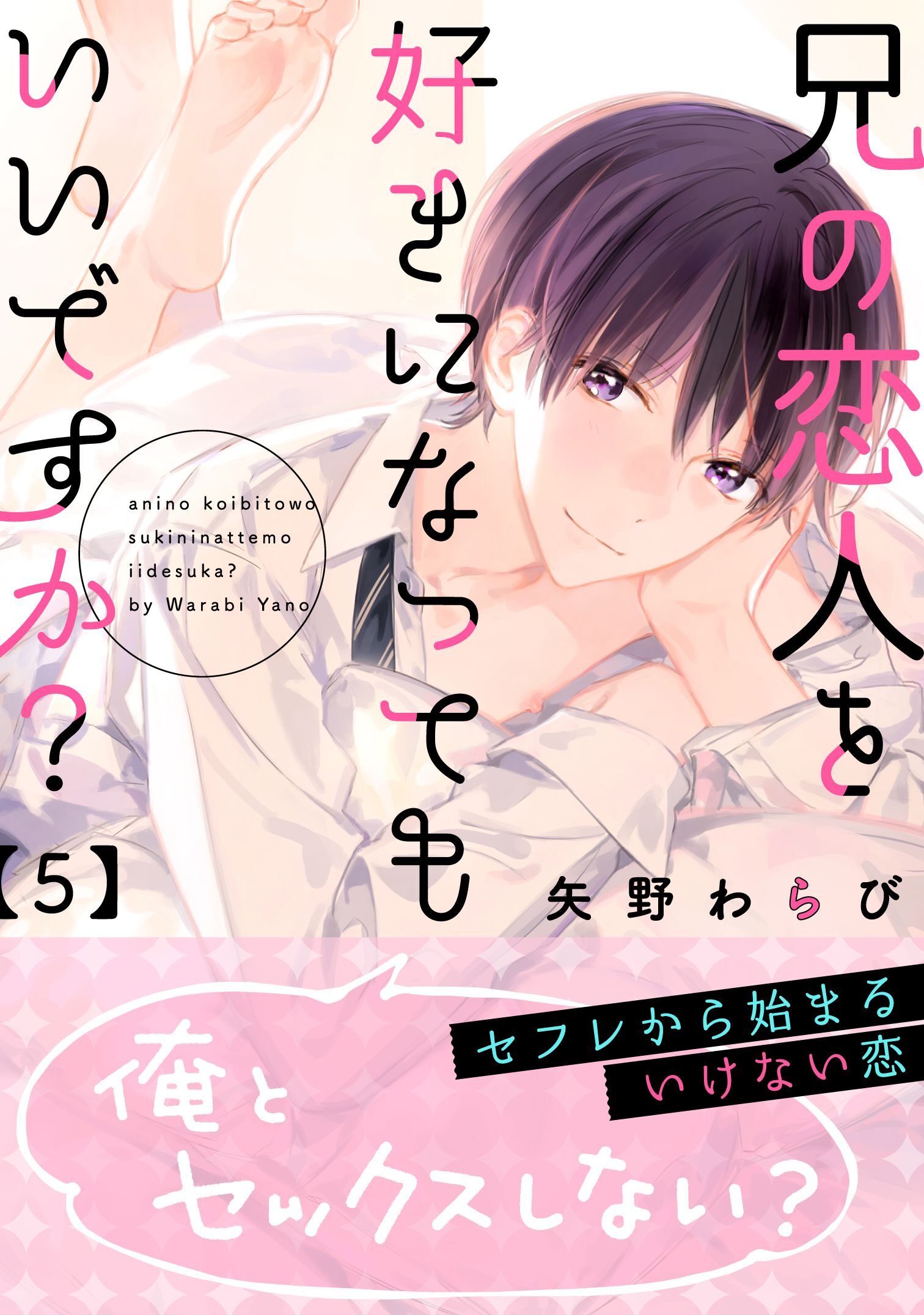 兄の恋人を好きになってもいいですか？ 5