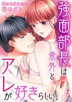 強面部長は意外とアレが好きらしい。~誰にも言えない秘めゴト