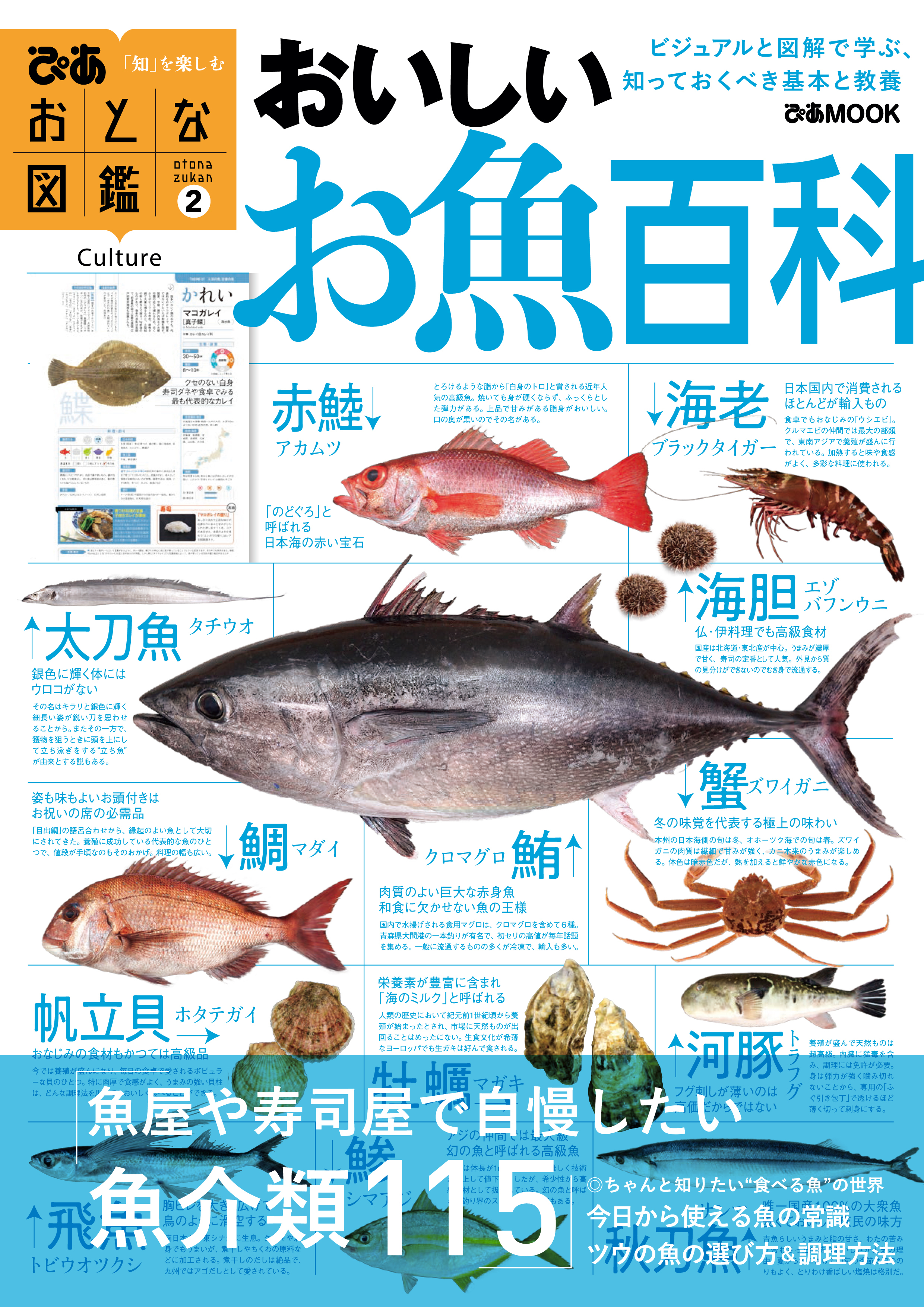 おとな図鑑(2)　おいしいお魚百科