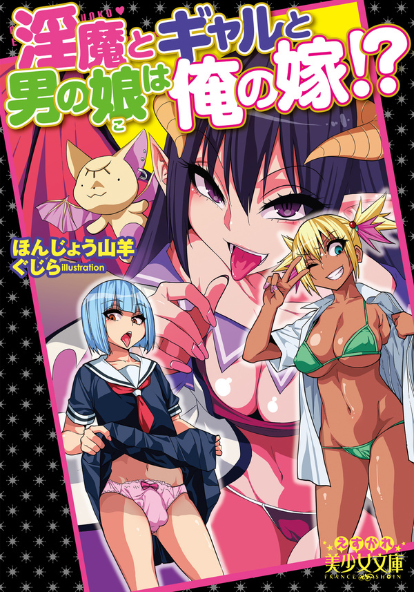 淫魔とギャルと男の娘は俺の嫁！？