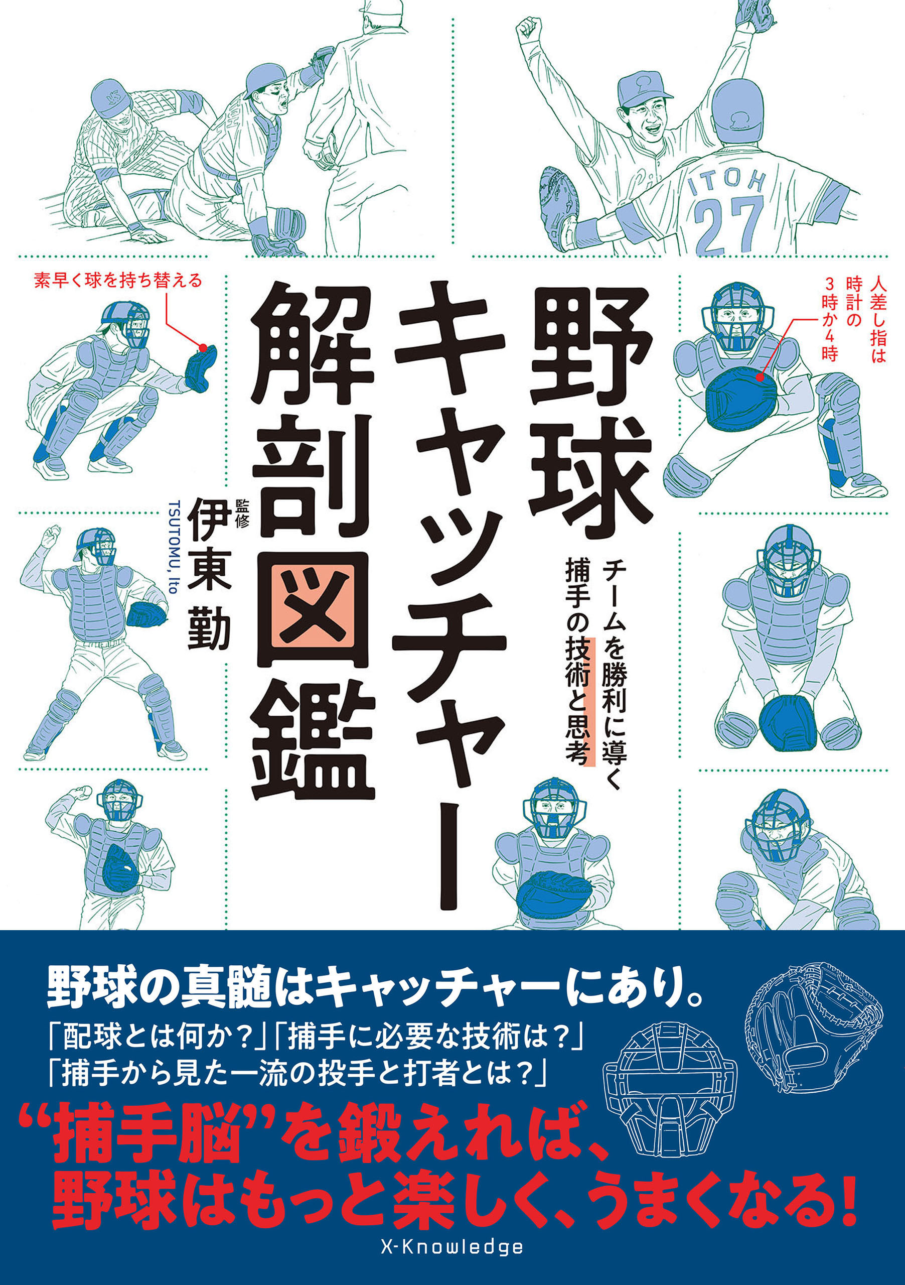 野球キャッチャー解剖図鑑