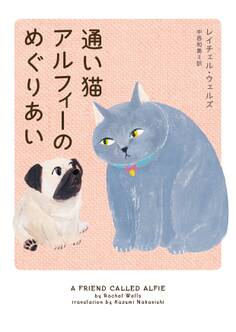 通い猫アルフィーのめぐりあい