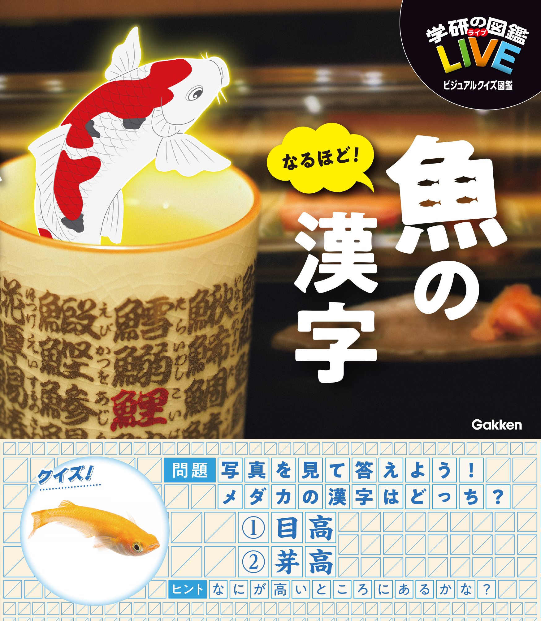 なるほど！魚の漢字