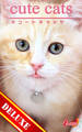 cute cats DELUXE04 マンチカン