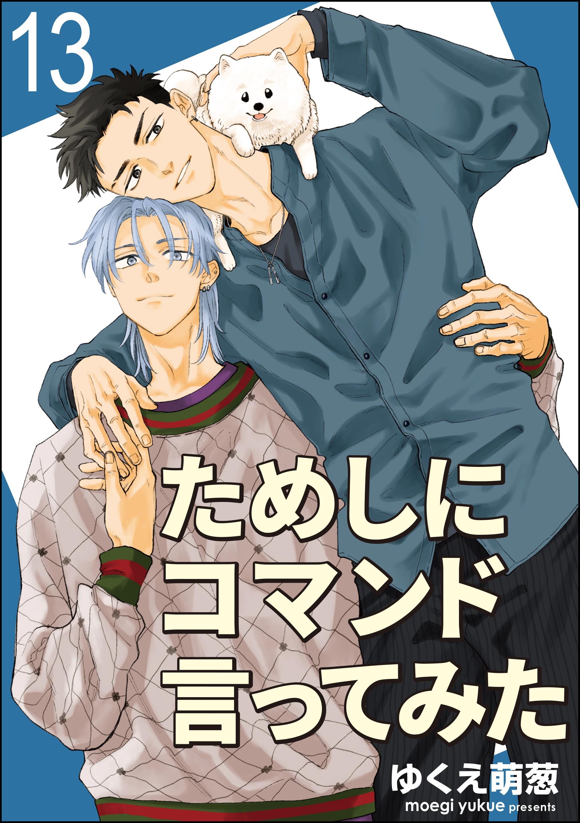 ためしにコマンド言ってみた（分冊版）　【第13話】