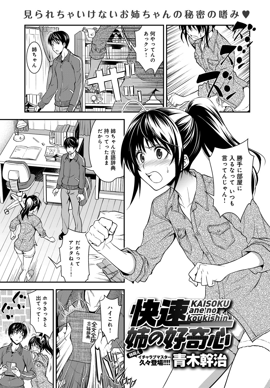 快速 姉の好奇心