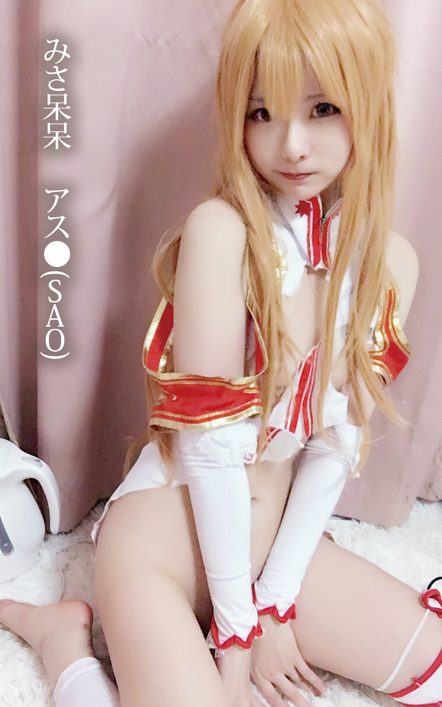 みさ呆呆　 アス●(SAO)