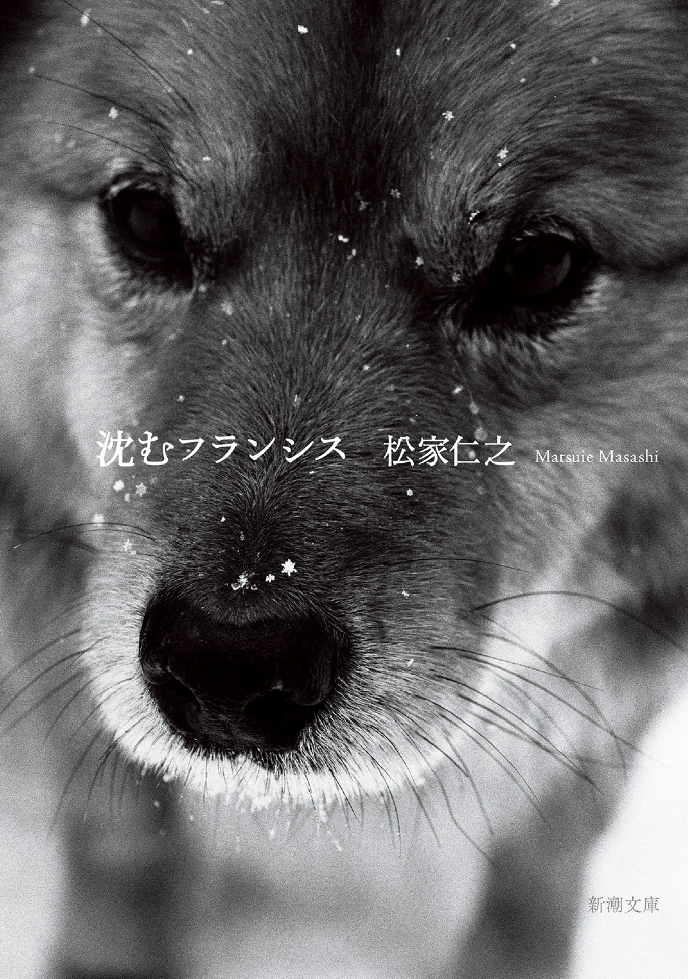 沈むフランシス（新潮文庫）