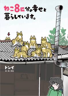 ねこ8匹分の幸せと暮らしています。