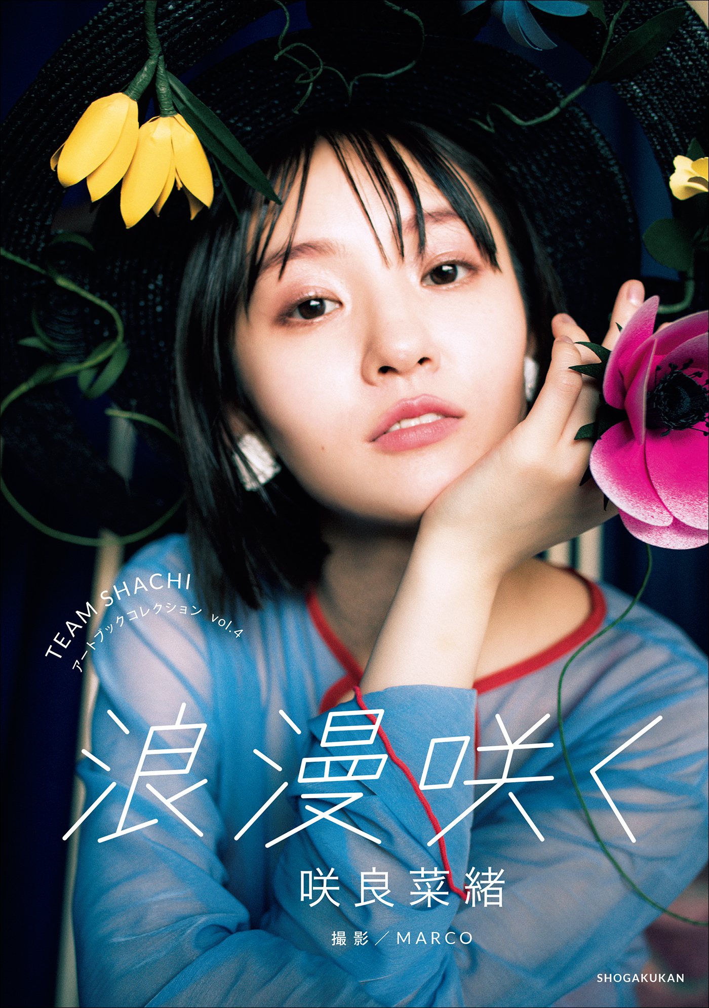 TEAM　SHACHI　アートブックコレクション