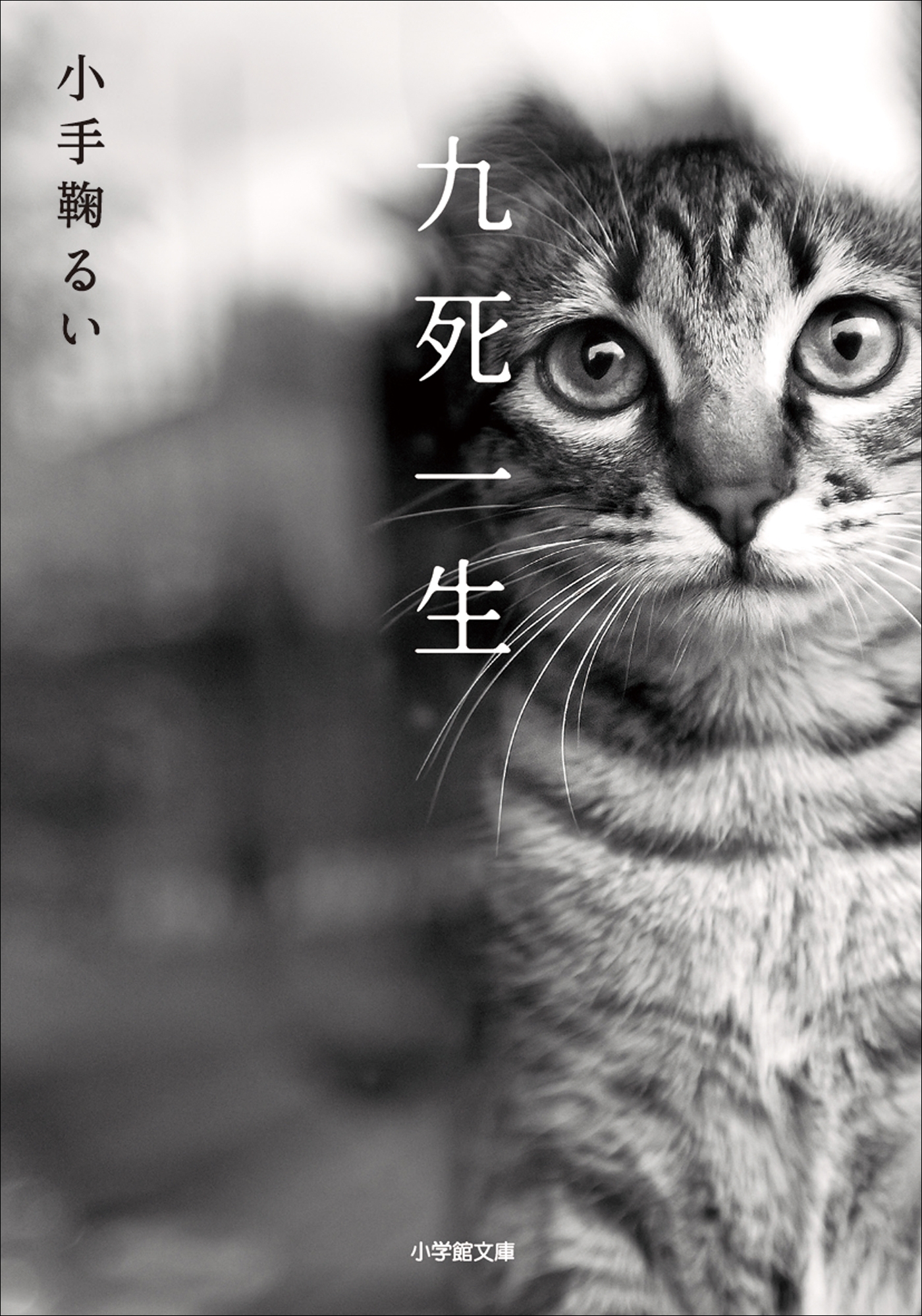 九死一生