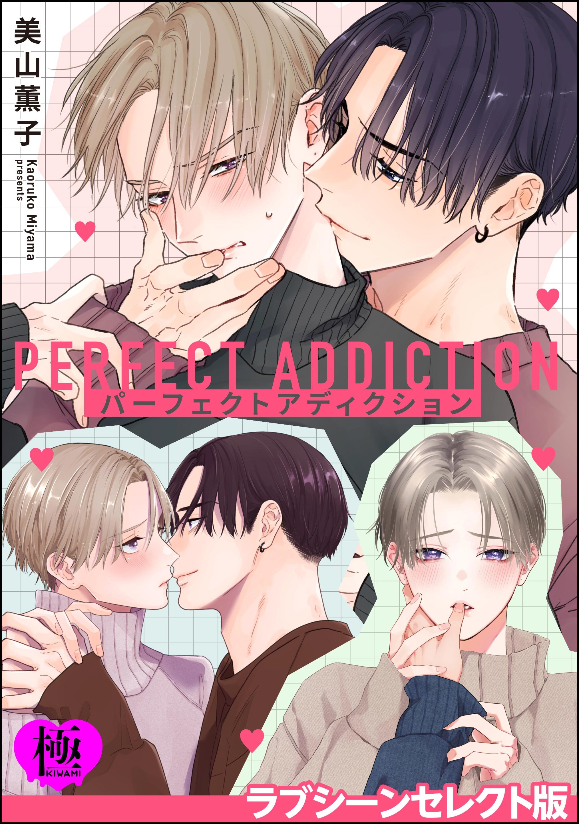 パーフェクトアディクション ラブシーンセレクト版【極】