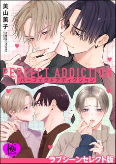 パーフェクトアディクション ラブシーンセレクト版【極】