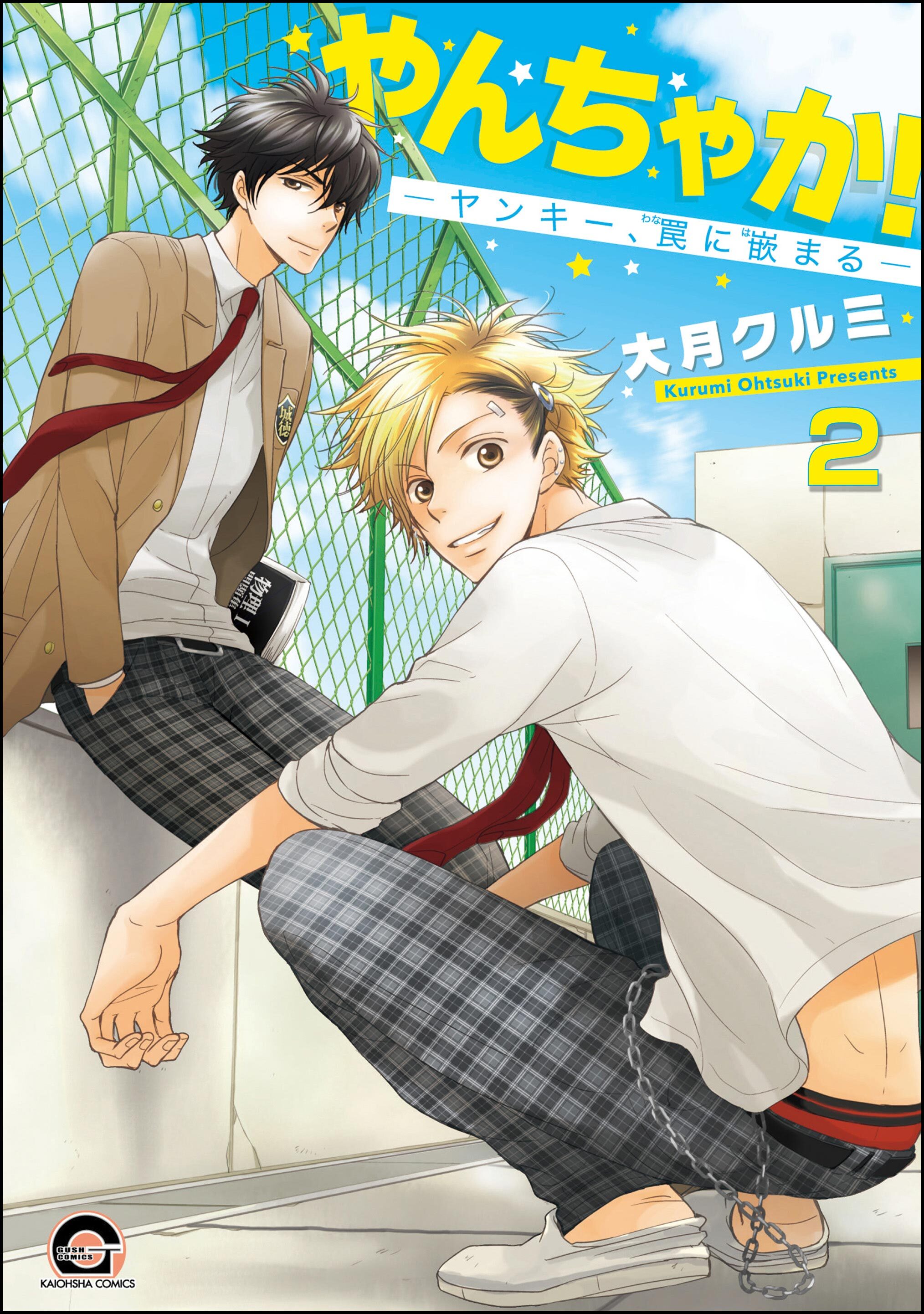 やんちゃか！─ヤンキー、罠に嵌まる─（分冊版）　【第2話】