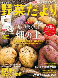 野菜だより2017年1月号