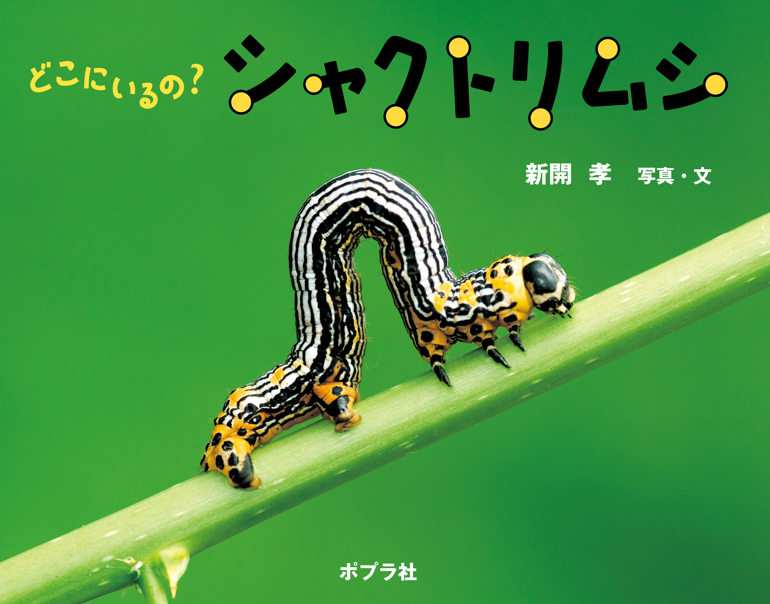 どこにいるの？　シャクトリムシ