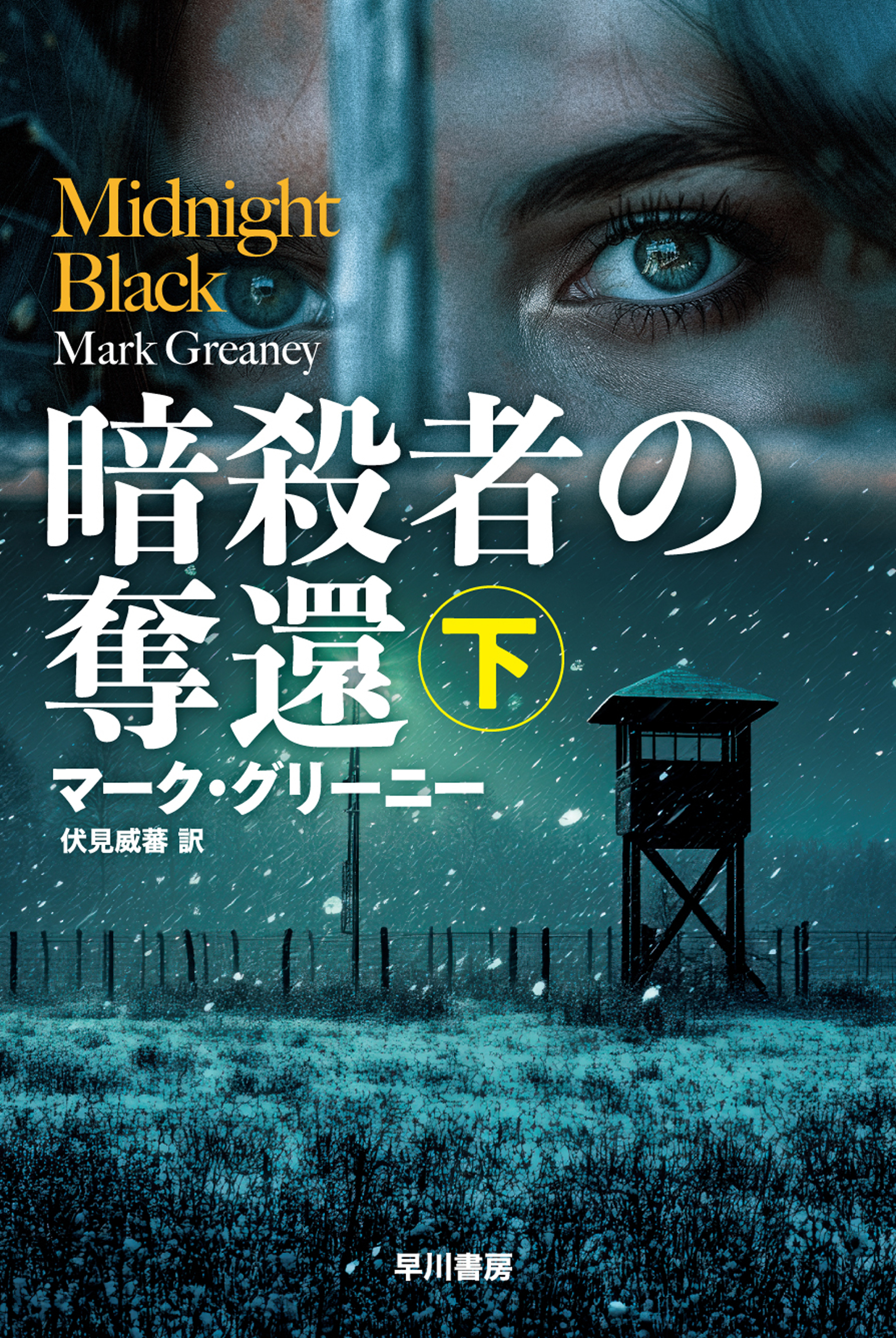 暗殺者グレイマン