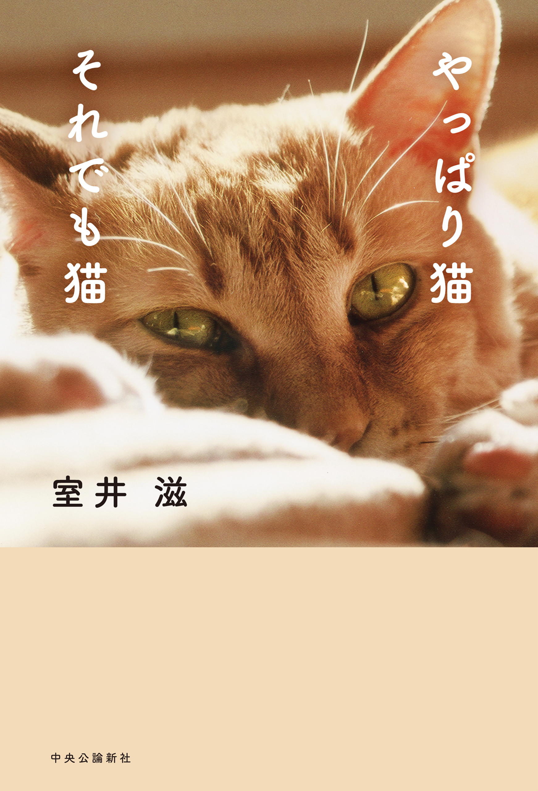 やっぱり猫　それでも猫
