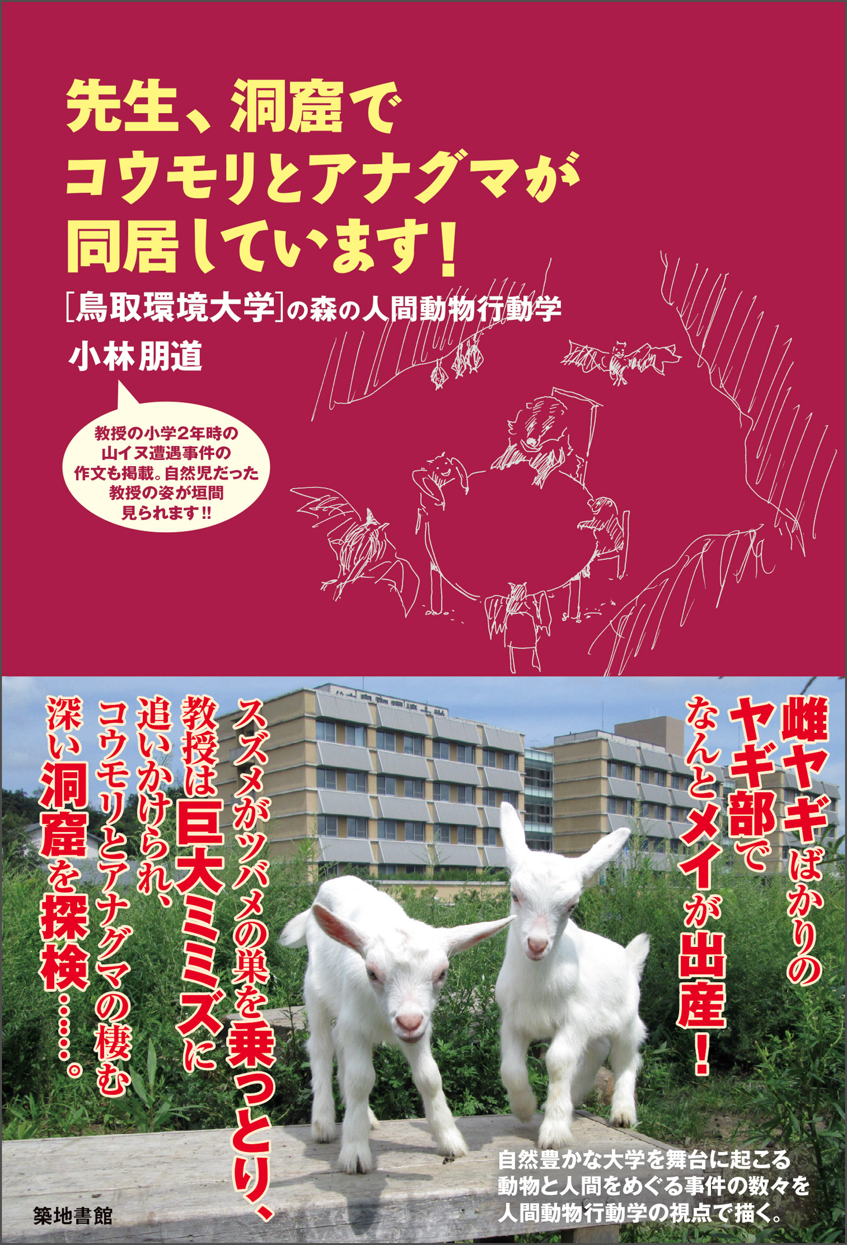 先生、洞窟でコウモリとアナグマが同居しています！