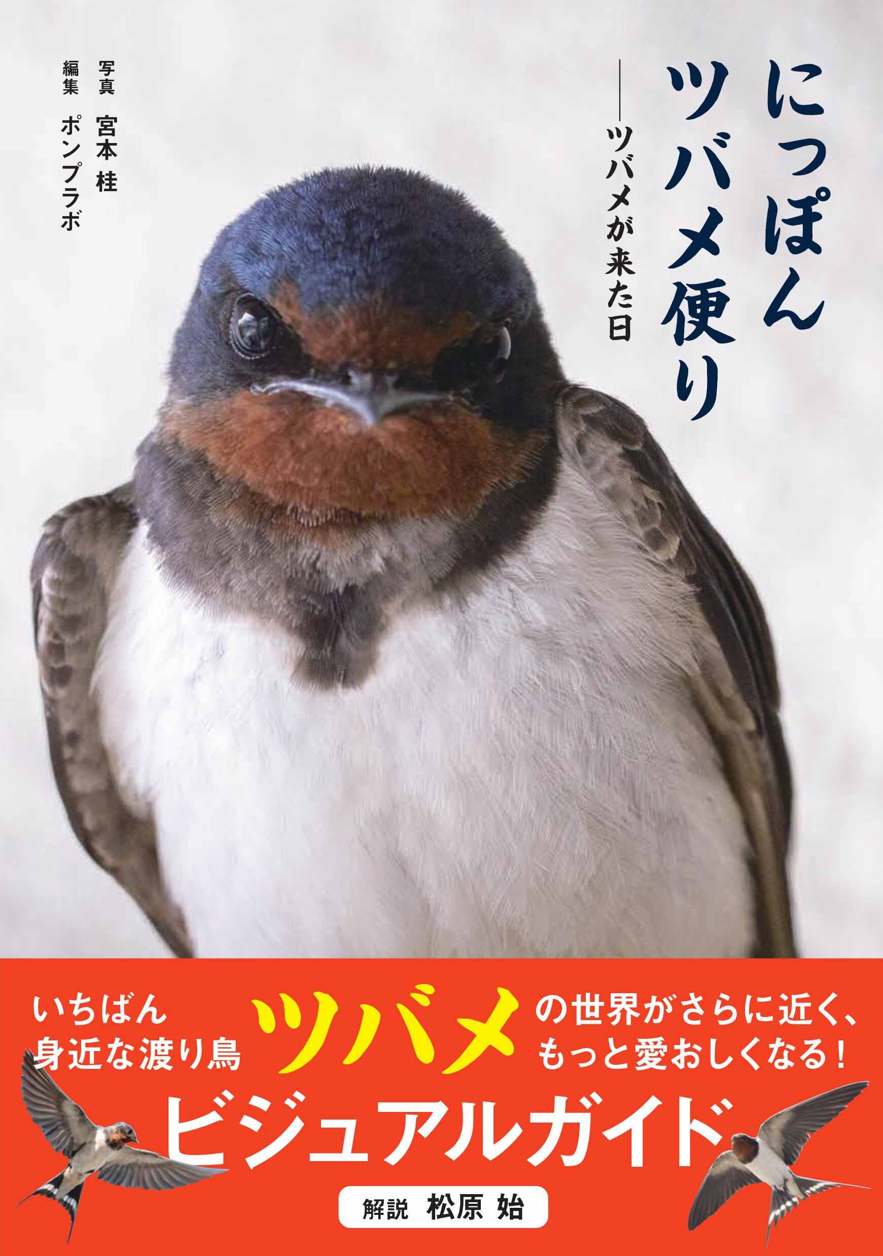 にっぽんツバメ便り